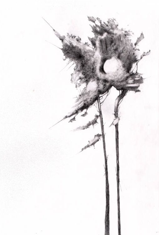 An Endless Scots Pine