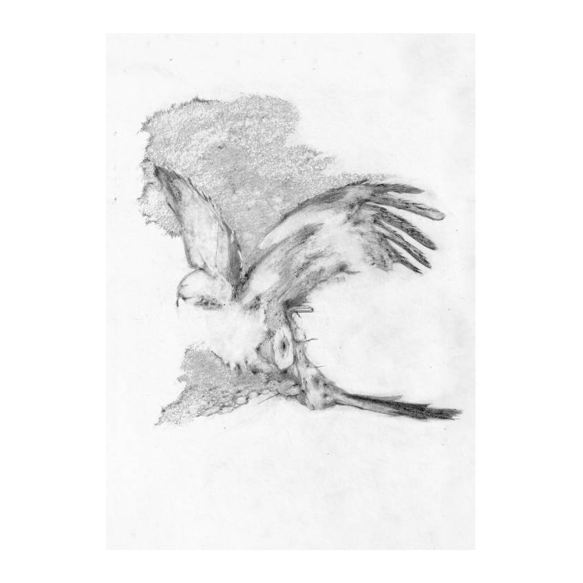 It Started Out As A Red Kite