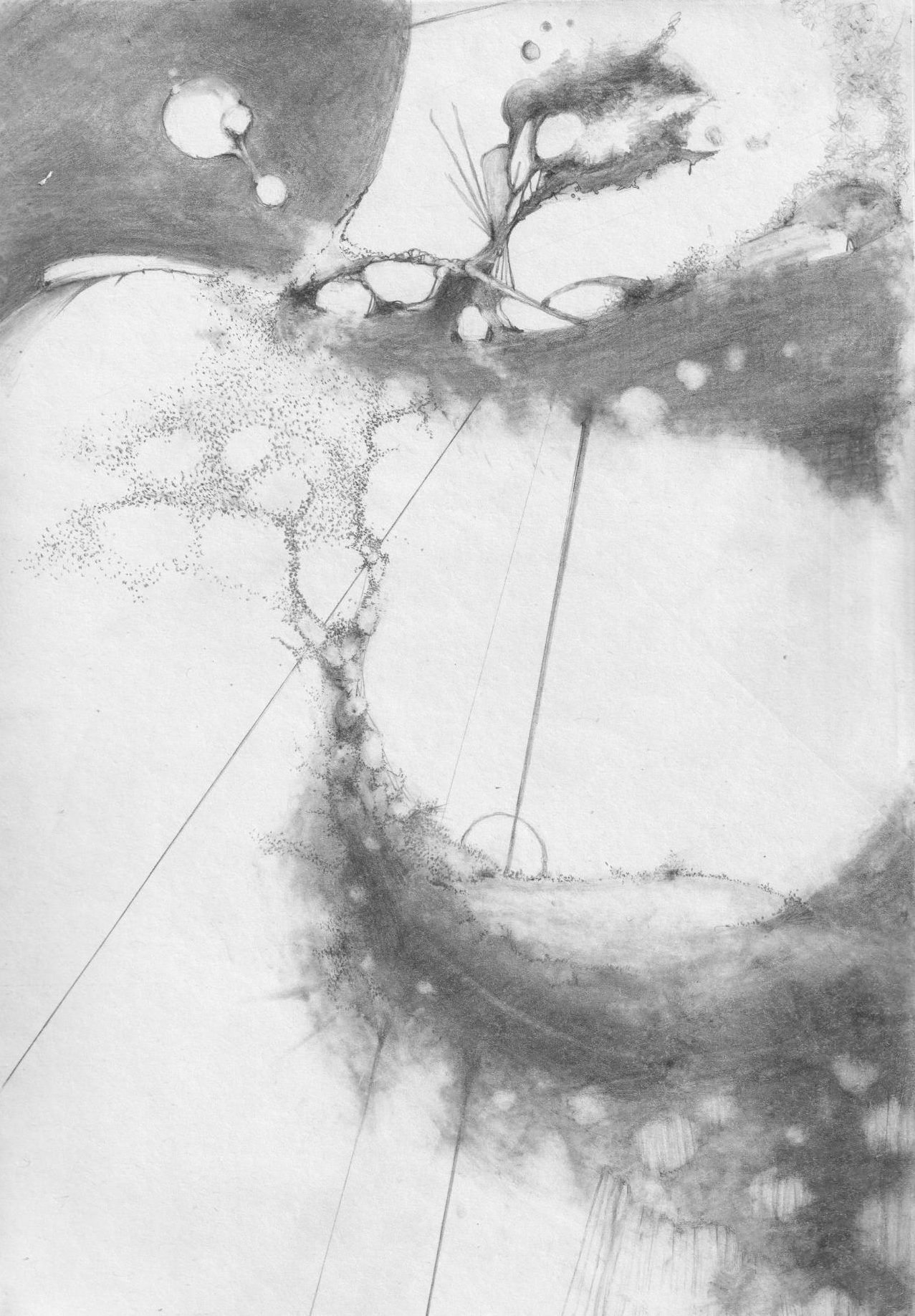The Garden Of Forking Paths