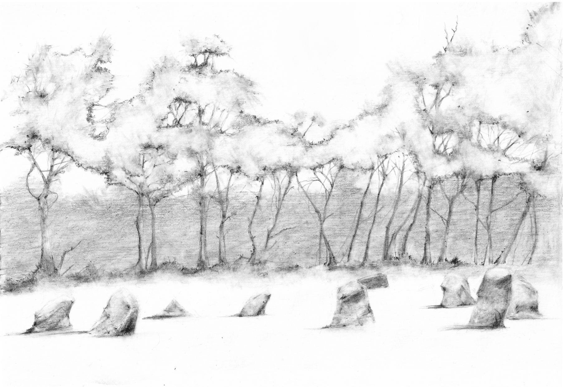 The Nine Ladies Stone Circle in pencil