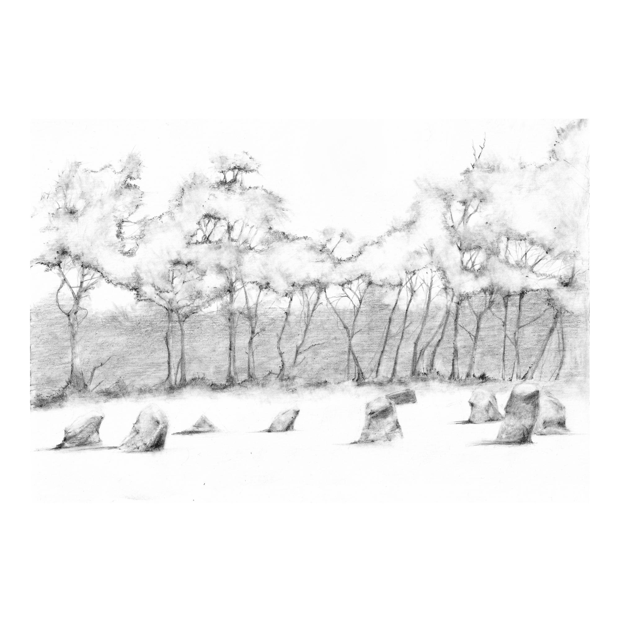The Nine Ladies Stone Circle in pencil