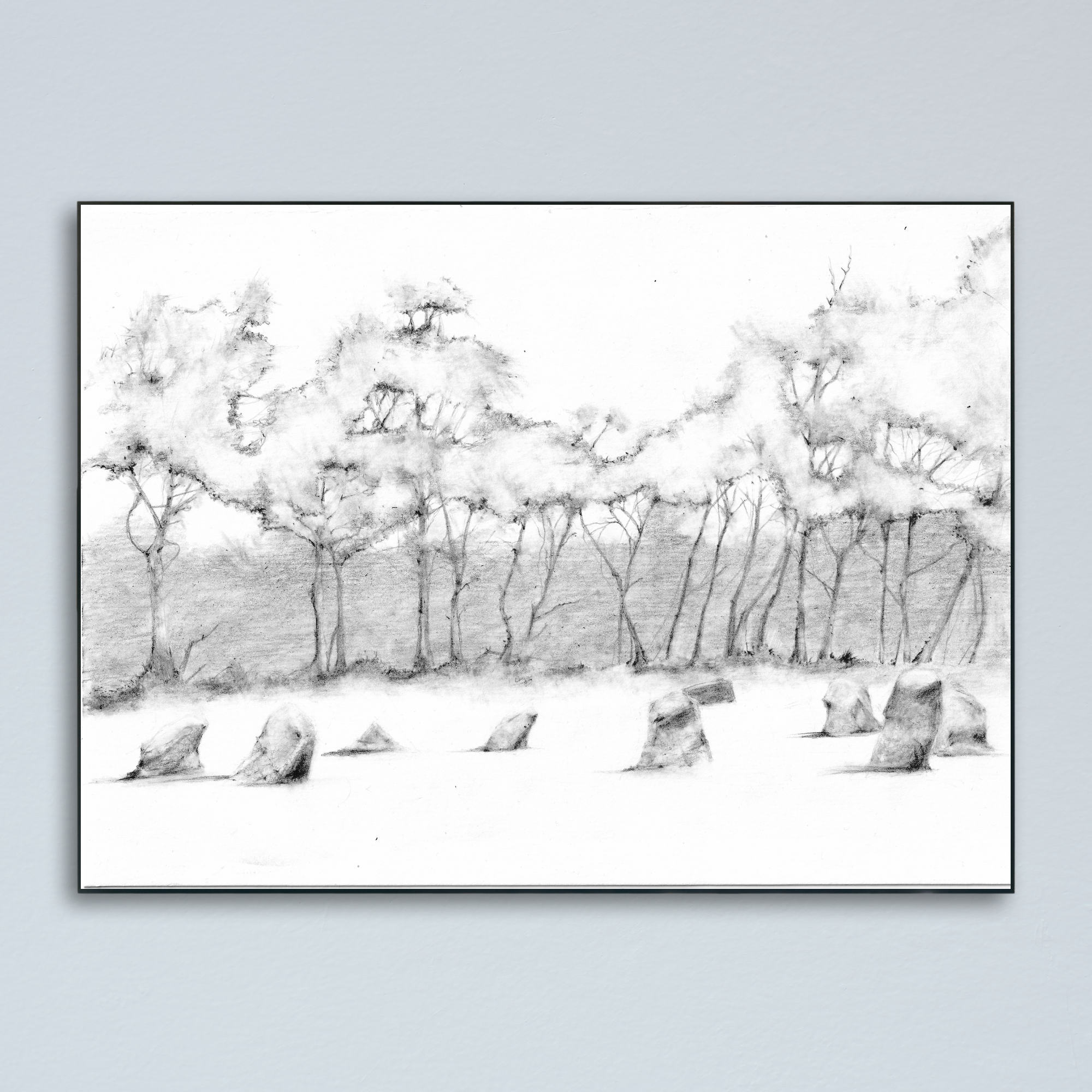The Nine Ladies Stone Circle in pencil