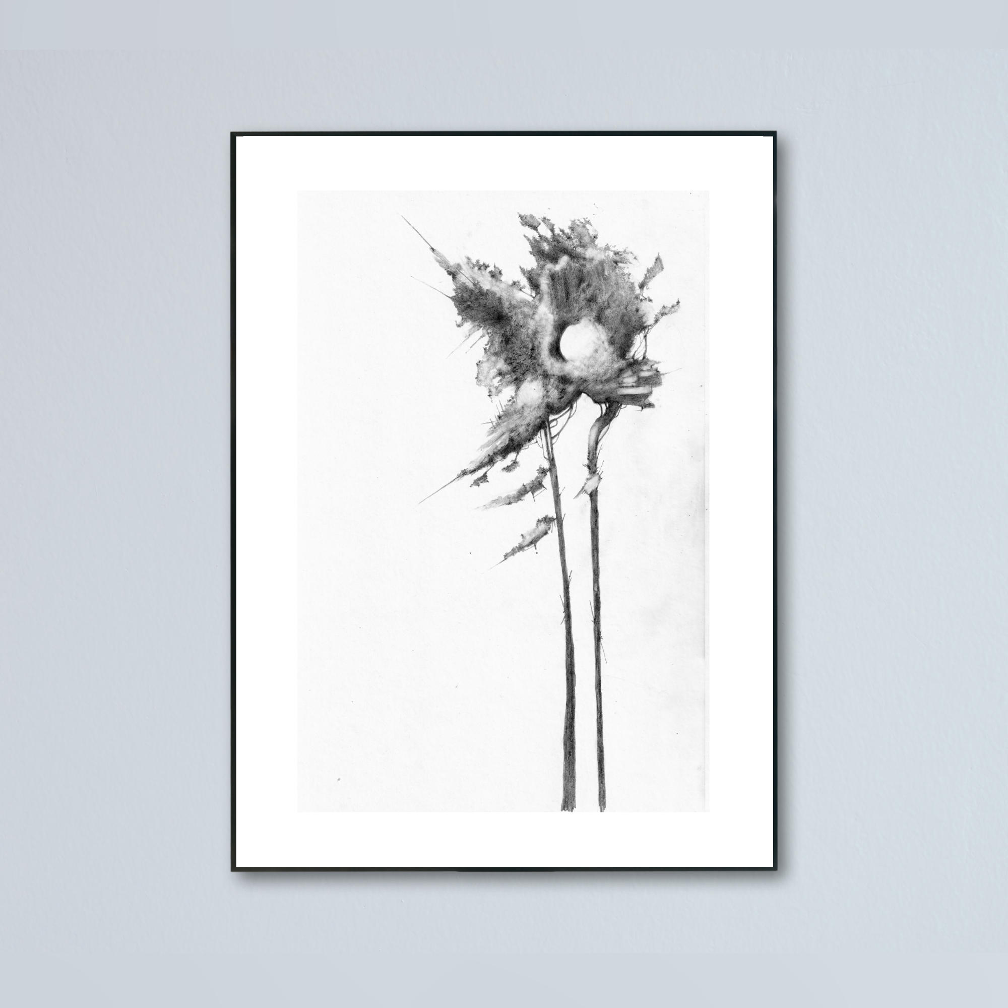 An Endless Scots Pine