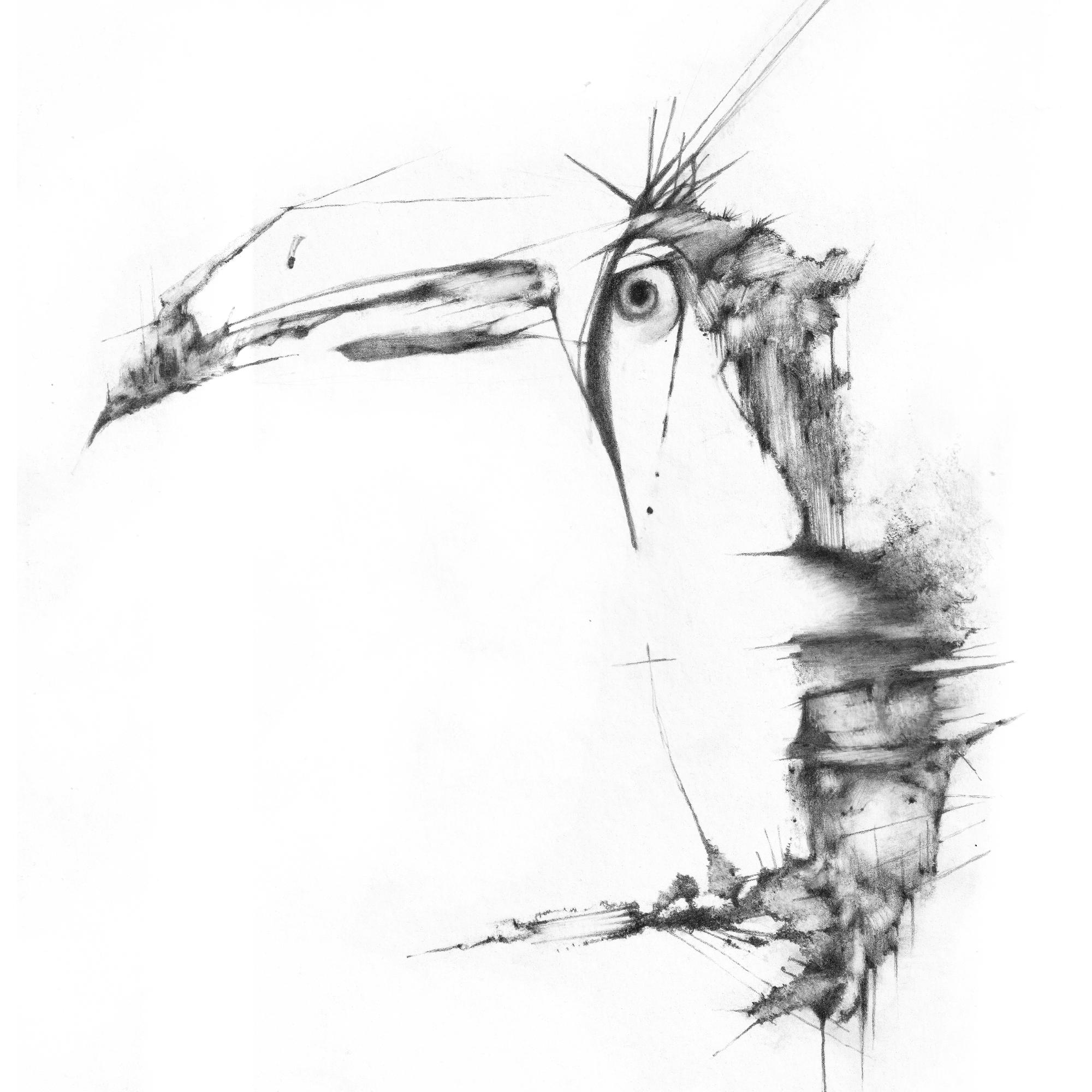 F Thomas Green pencil art